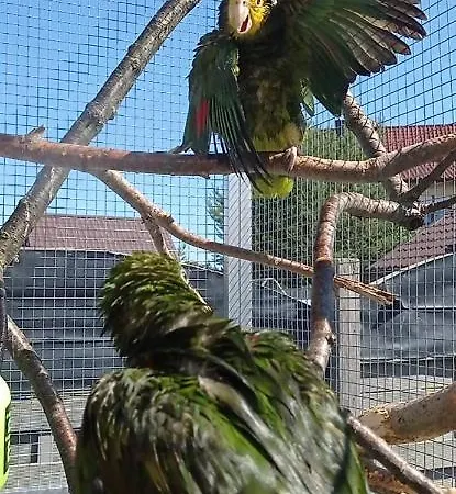 Maly Apartamencik Teo *