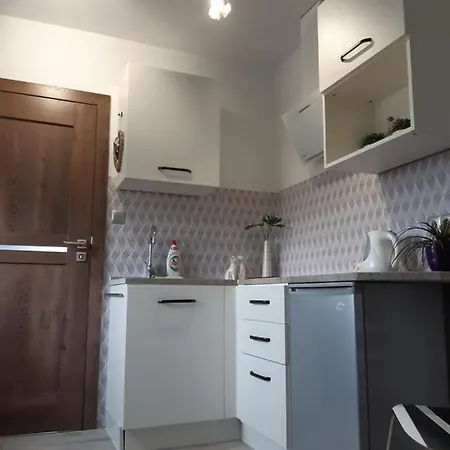 アパート Maly Apartamencik Teo レバル