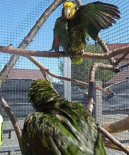 Maly Apartamencik Teo *